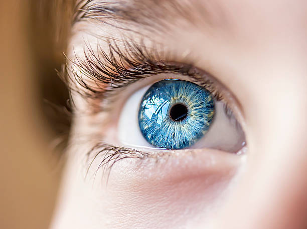Comment entretenir la santé des yeux ?