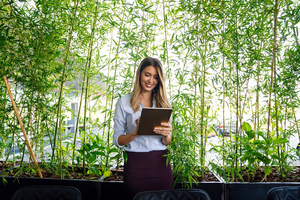 L'énergie des plantes : le secret bien gardé pour transformer votre maison !