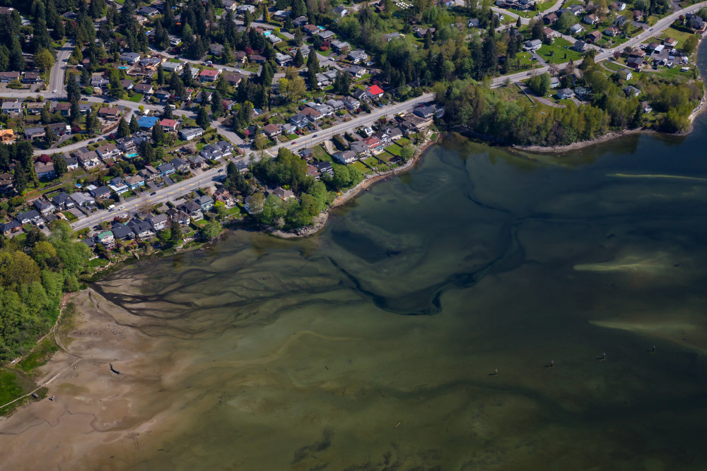 Ces Petites Villes Méconnues qui Deviennent des Eldorados Immobiliers