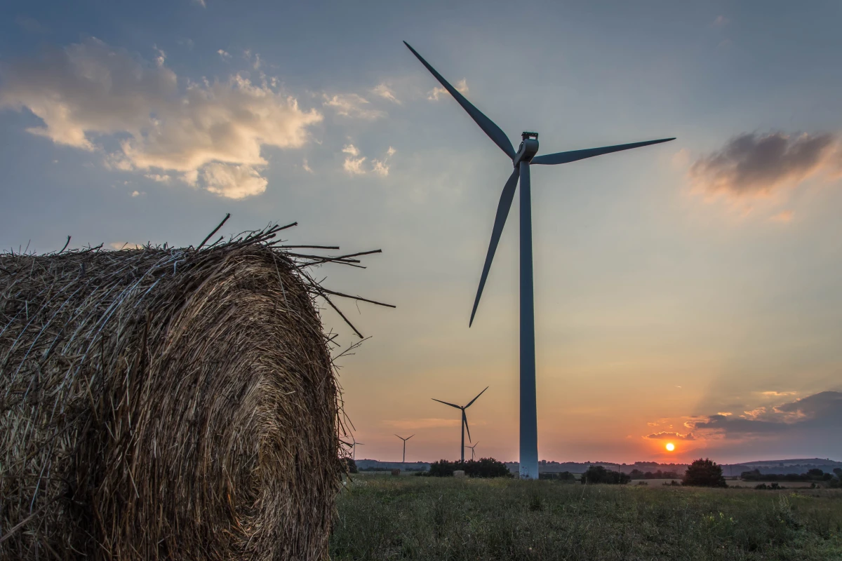 Les défis de l'agriculture durable : une course contre la montre pour préserver notre environnement
